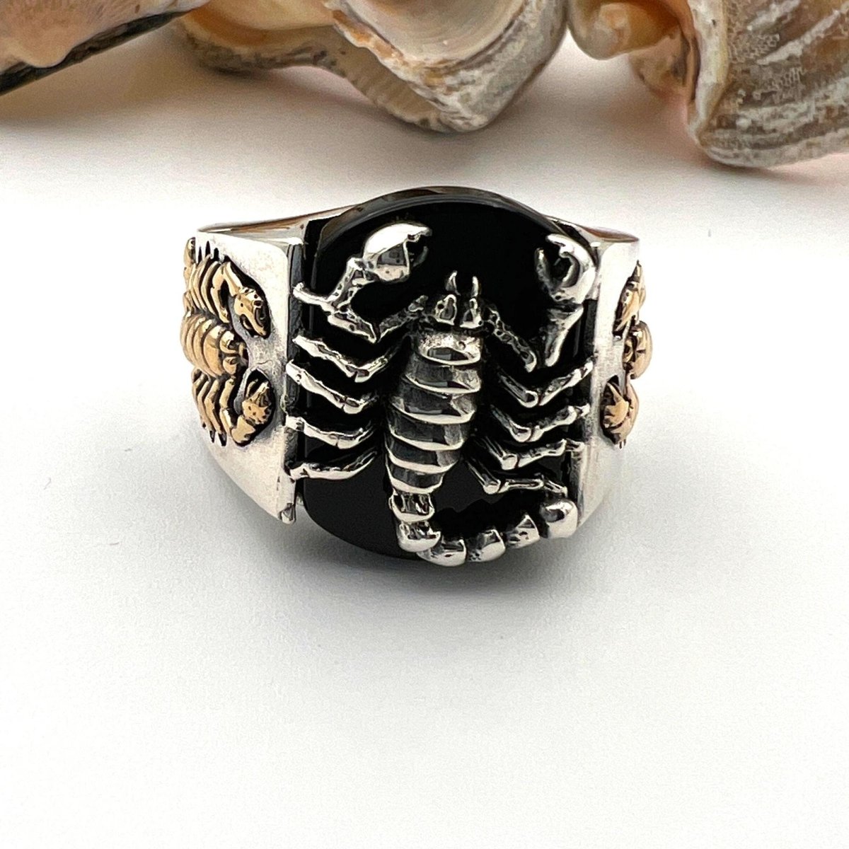 Onyx Men's Silver Ring - TryAladdin